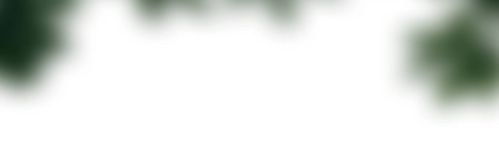 Top grass